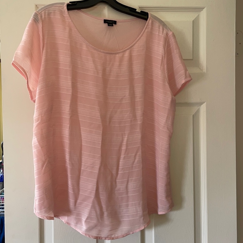 NWOT pink shirt sleeve sheer front top